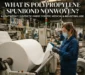 polypropylene spunbond nonwoven